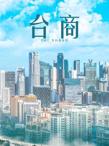 喵喵er &#8211; 黑丝空姐[20P+1V/234MB]